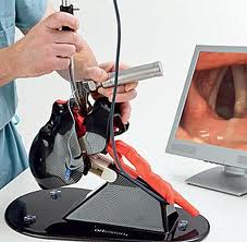 Practicing endoscopy on a mankikin
