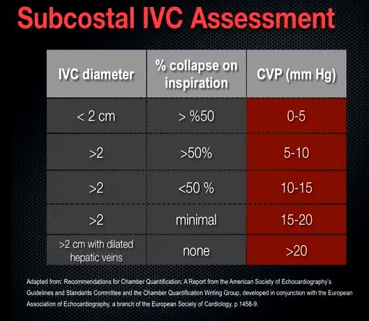 IVC CVP Estimator