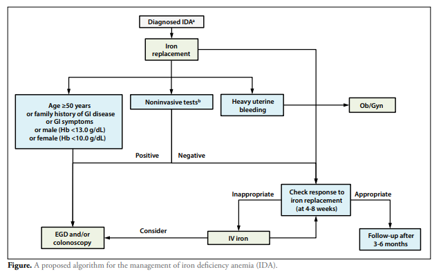 A proposed algorithm for the management of iron deficiency ...