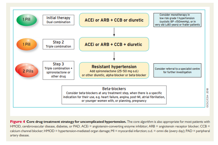 hypertensive urgency treatment guidelines 2022 térd hipertónia